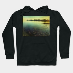 Dive Into Summer Hoodie